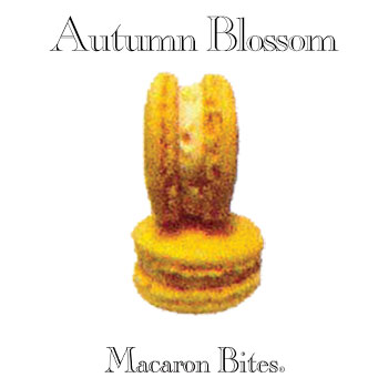 Autumn Blossom Macaron