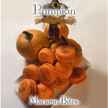 Pumpkin Macaron Flavor